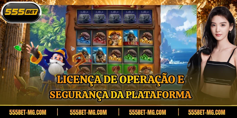 Licença de operação e segurança da plataforma