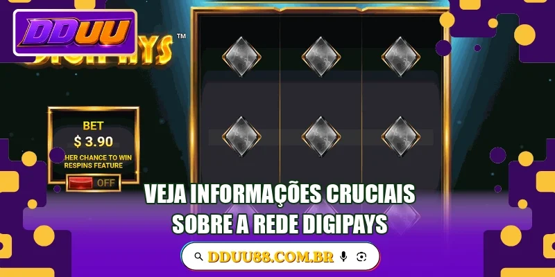 Veja informações cruciais sobre a rede Digipays